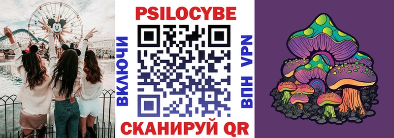 где купить наркоту  Лермонтов  OMG зеркало  Псилоцибиновые грибы MAGIC MUSHROOMS 